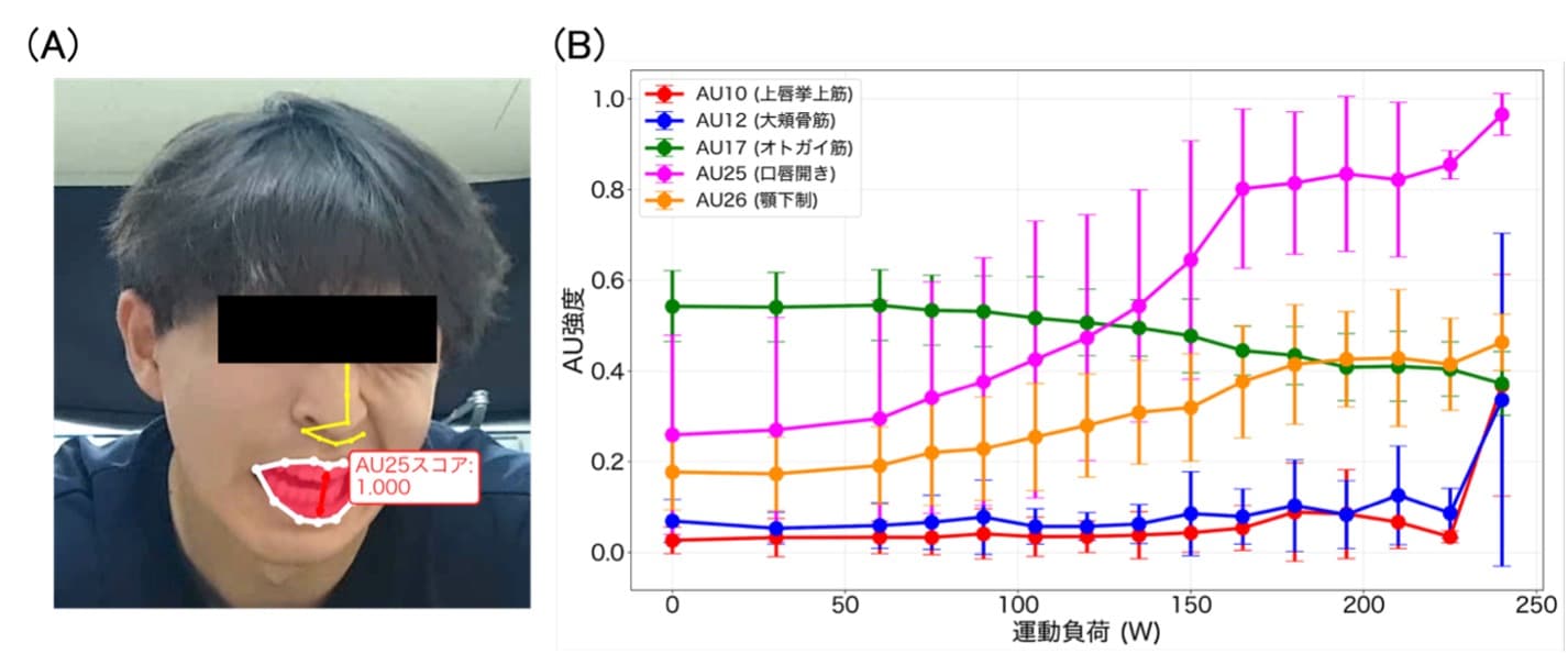【論文掲載】表情の変化から激しい運動中の脳の疲労を評価